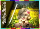 marilyn