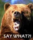 SAY WHAT?!-bear XD