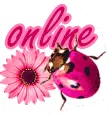 Pink Ladybug 