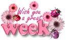 Wish you a great week!