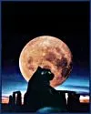 moon