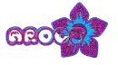 Arooj