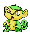 cute monkey