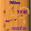 Miss You