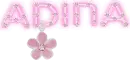 Adina