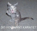 karate