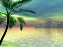 Tropical Paradise