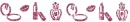 makeup divider pink