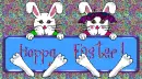 two bunny rabbits