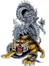 tiger with  white dragon