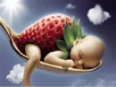 baby rap of stbry