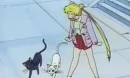 sailor moon
