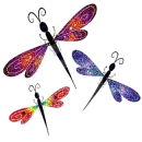 Dragonflies