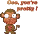 Pretty Monkey