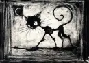 black cat
