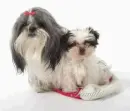 Always Friends