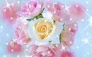Flower Sparkle