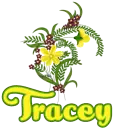 Spring flowers- Tracey