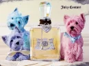 juicy couture westies