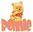 baby winnie pooh ronnie
