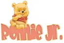 baby winnie pooh ronnie jr