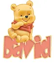 baby winnie pooh david