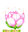 flower fairy
