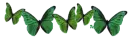 GreenButterflies