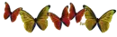 Yellow and Orange Butterflies