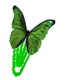 Green butterfly clip