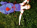 the garden of roses