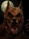 midnight wolf