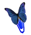 BLue butterfly clip