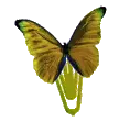 Yellow butterfly clip