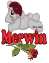 Bear & Rose: Merwin