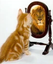 Dare to dream