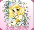 candy candy