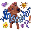 puppy with sunglasses whatever