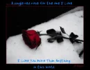 a single rose