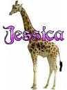 Jessica