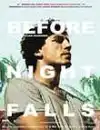 Before Night Falls