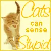 Cats can sense stupid
