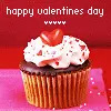 happy valentine's day