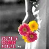 you're my coloured picture