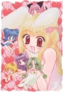 mew mew berry