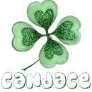 Clover-Candace 
