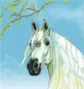 My Horse Lords