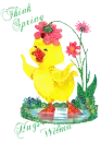 Wilma - Think Spring