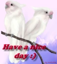 Have a nice day