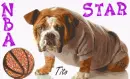 nba star